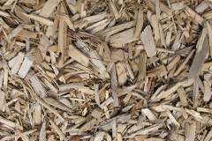biomass boilers Eccliffe